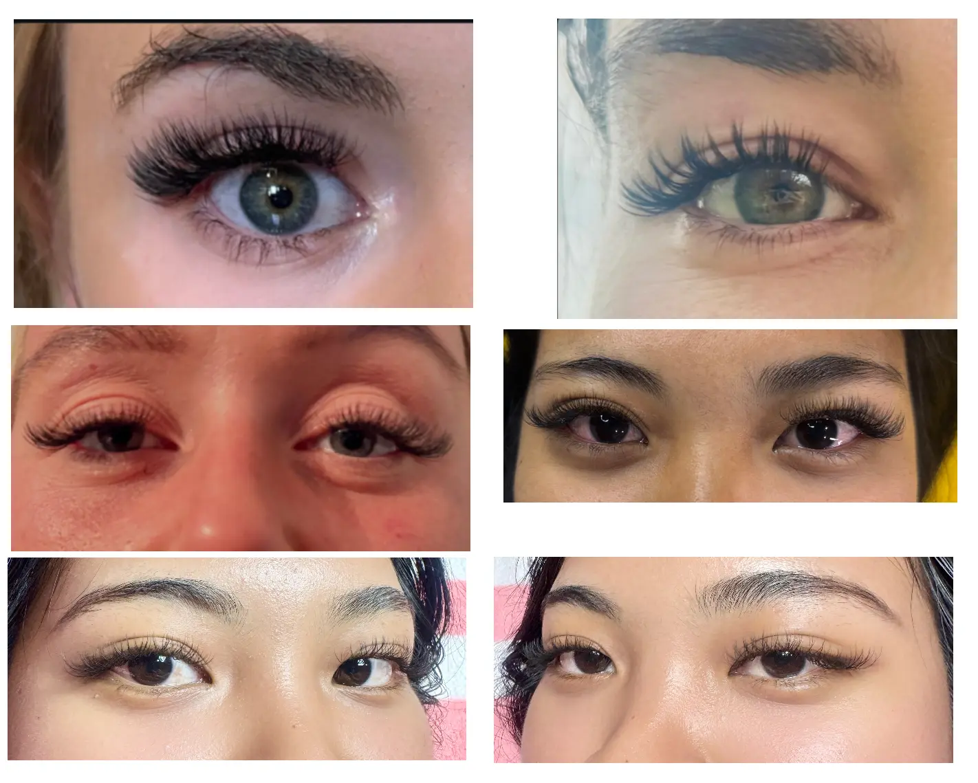 Brows & Lashes