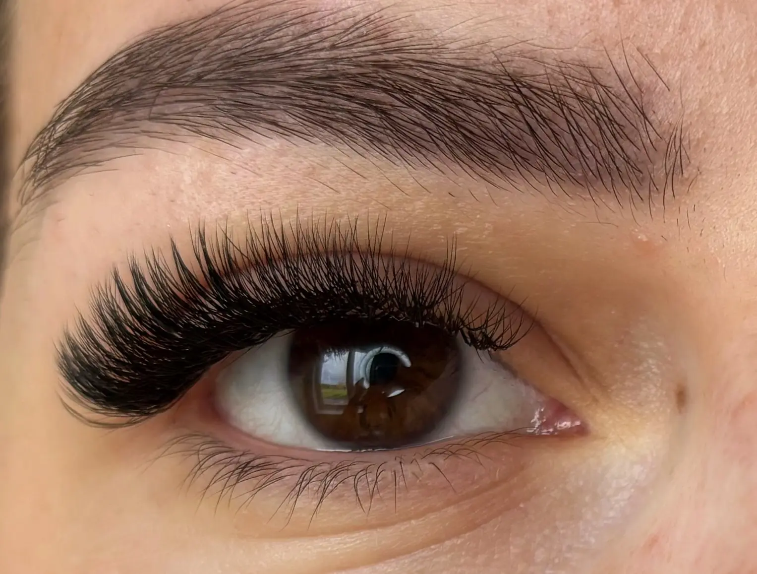 Brows & Lashes