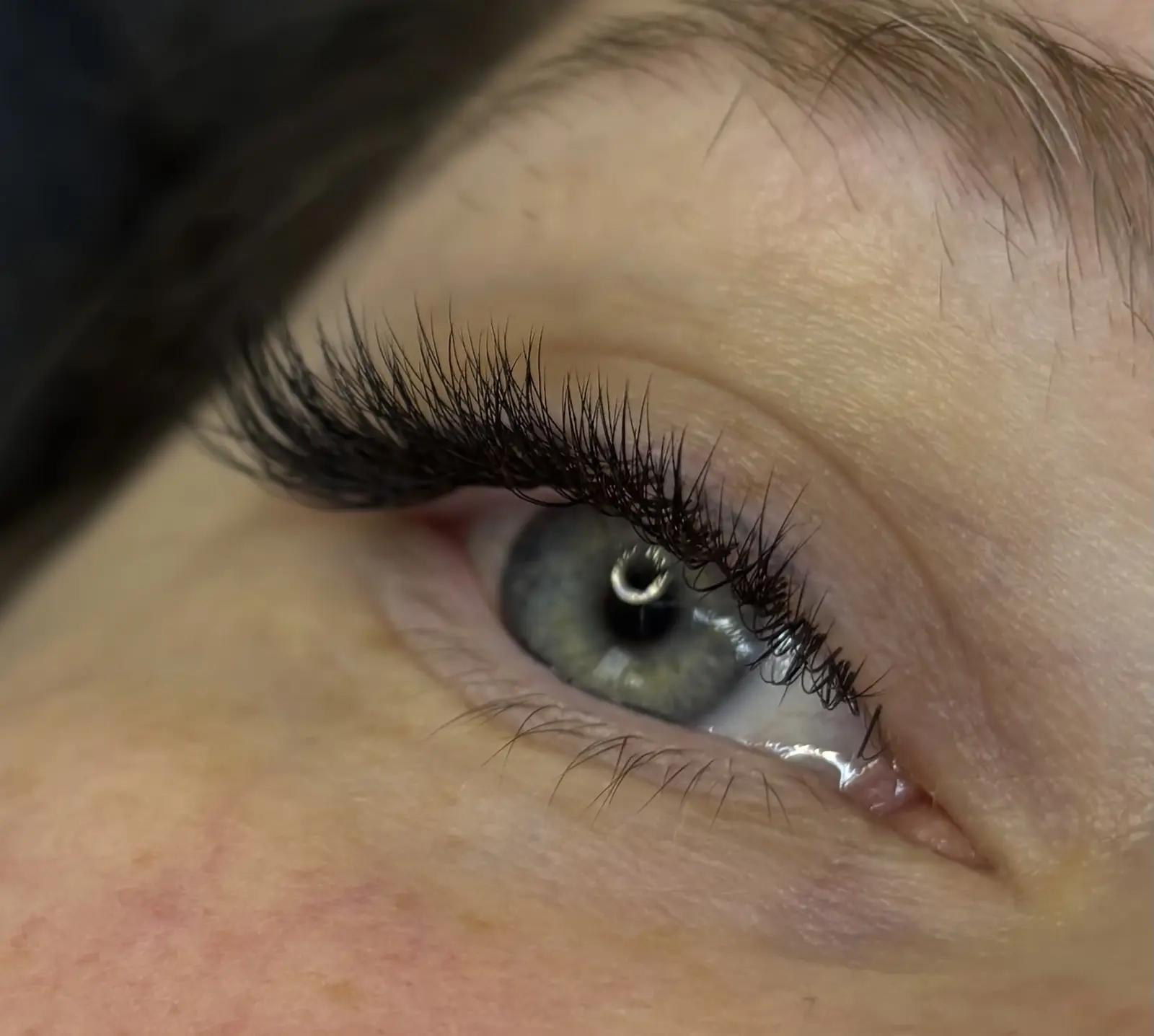 Brows & Lashes
