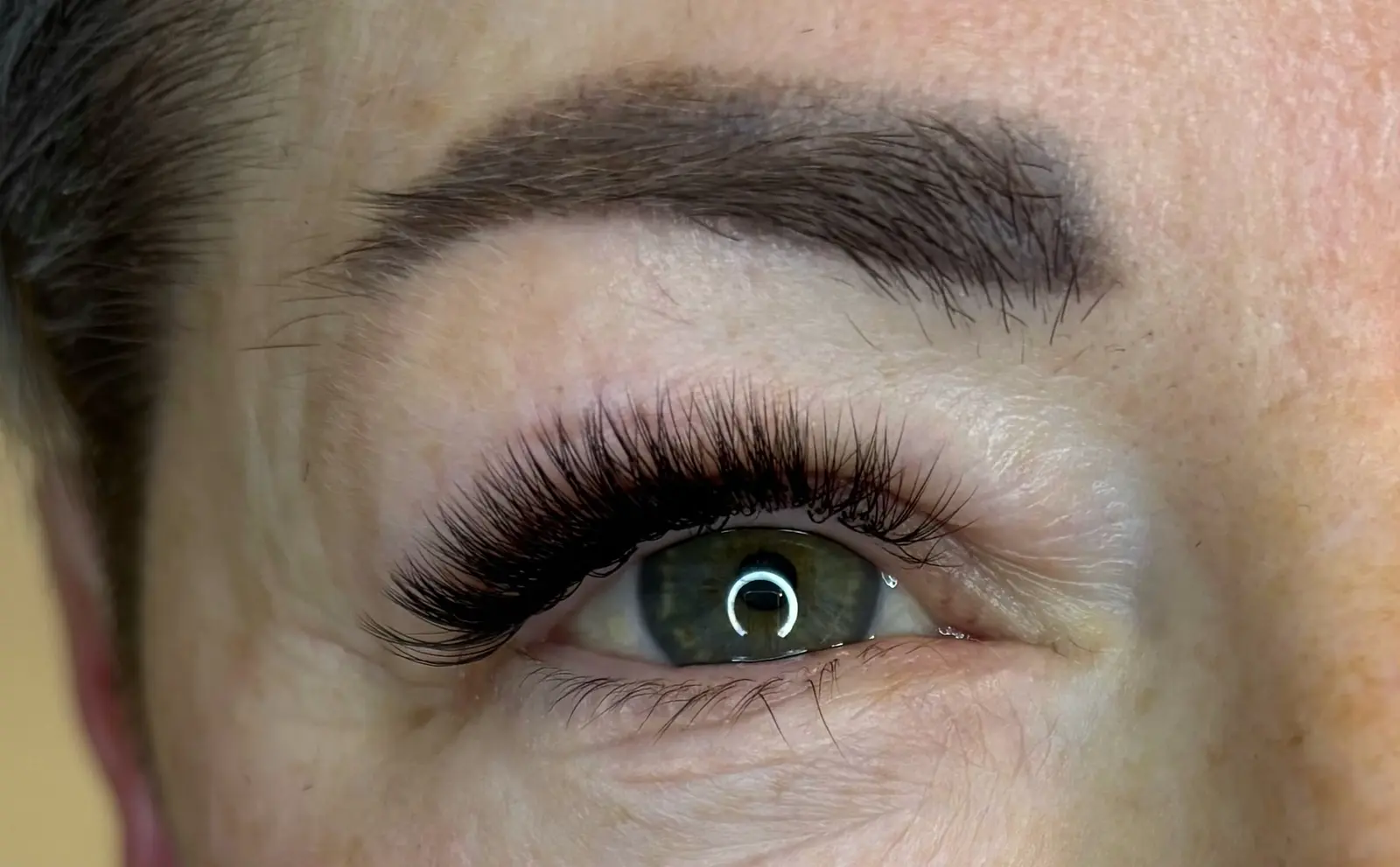 Brows & Lashes