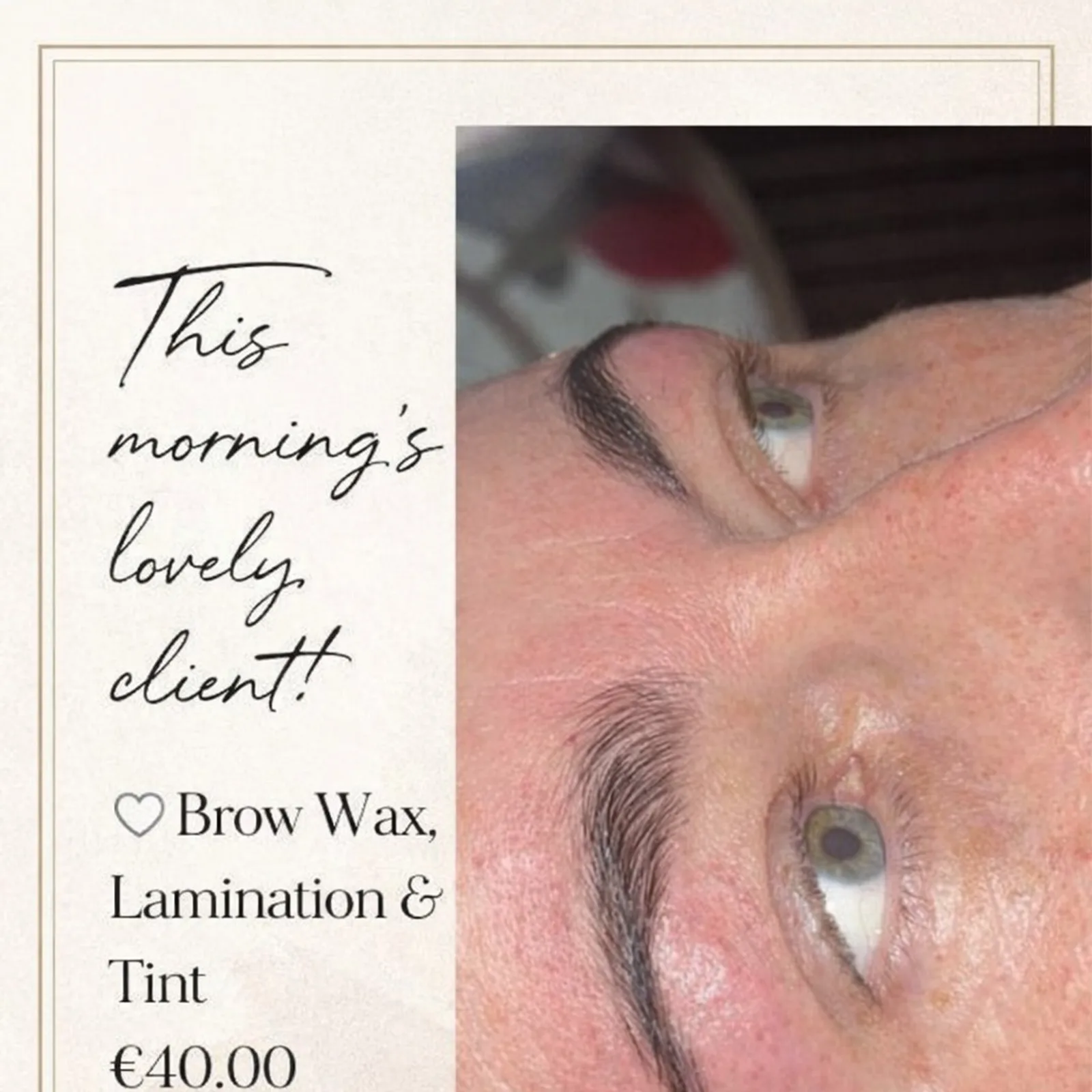 Brows & Lashes