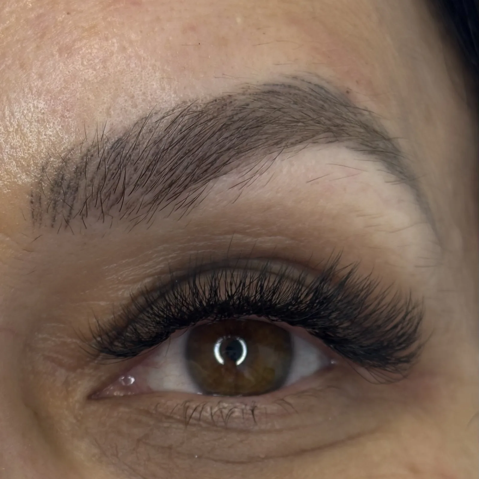Brows & Lashes