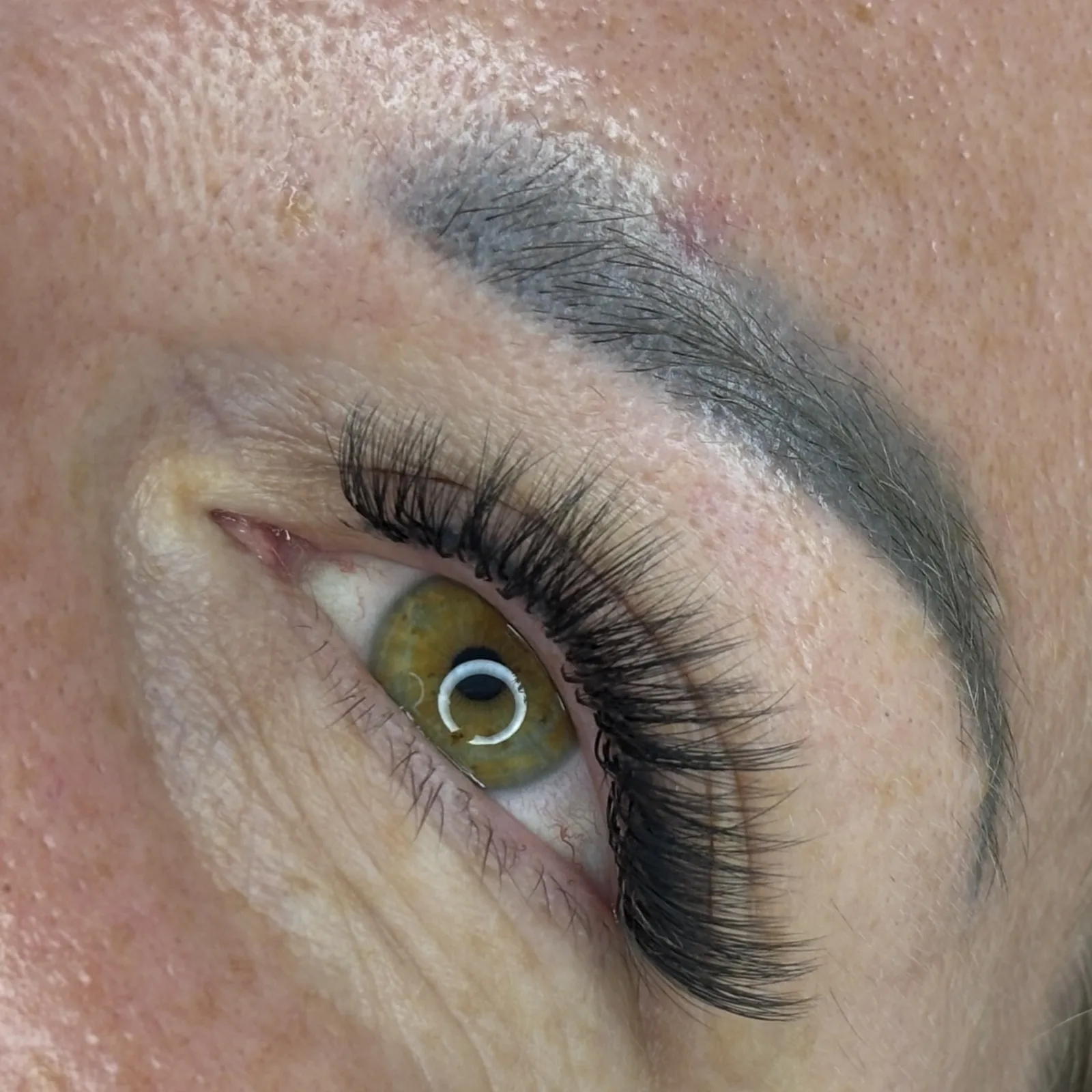 Brows & Lashes